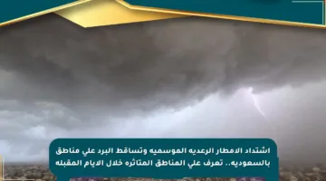 اشتداد الأمطار الرعدية الموسمية وتساقط البرد على مناطق بالسعودية.. تعرف على المناطق المتأثرة خلال الأيام المقبلة